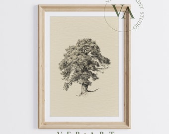 Vintage Tree Sketch Art, Antique Neutral Nature Print, Digital Farmhouse Wall Decor, Rustic Tree Drawing Printable, DRWNG02