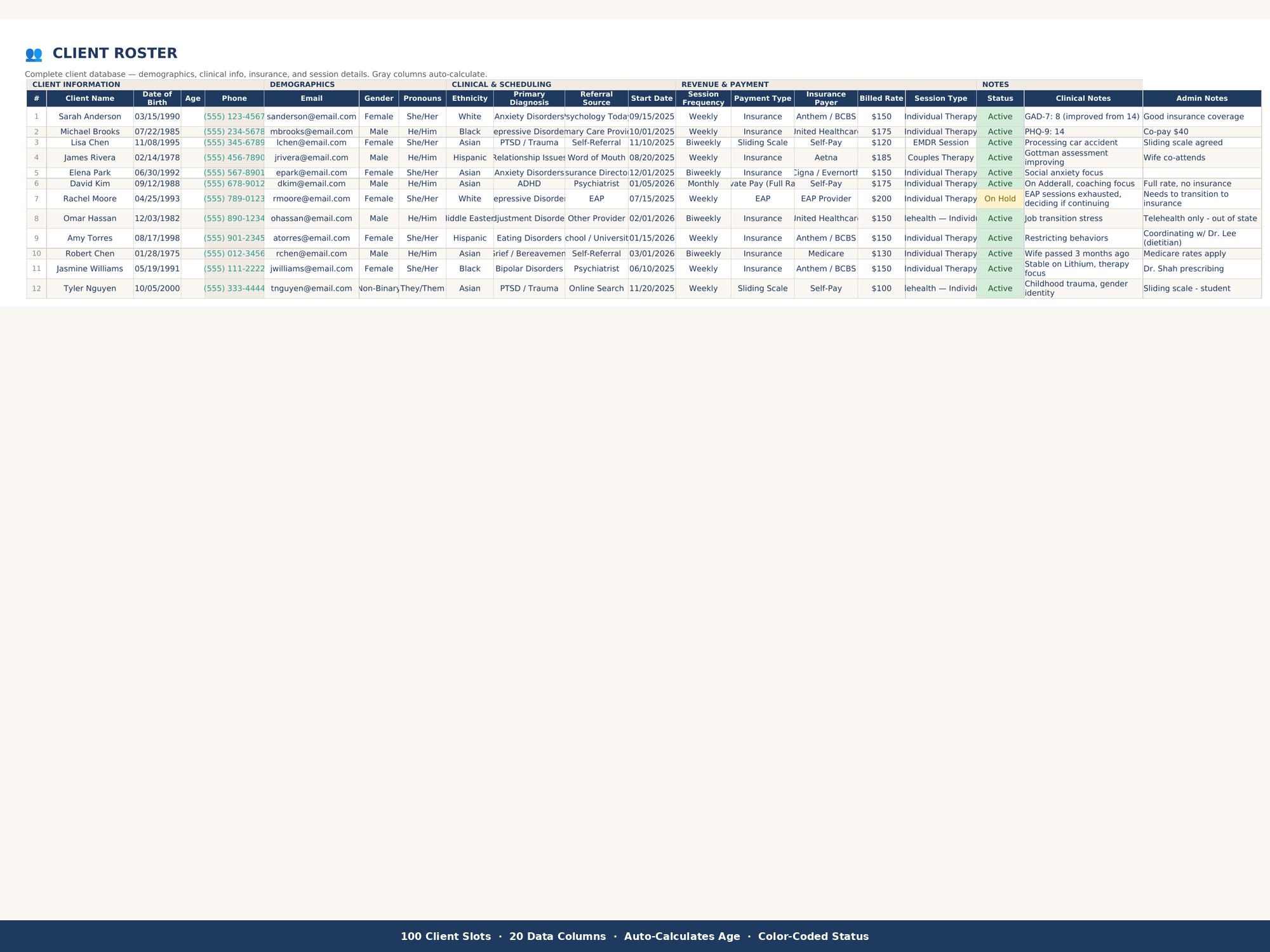 Therapist Client Tracker Excel Private Practice Management Spreadsheet ...
