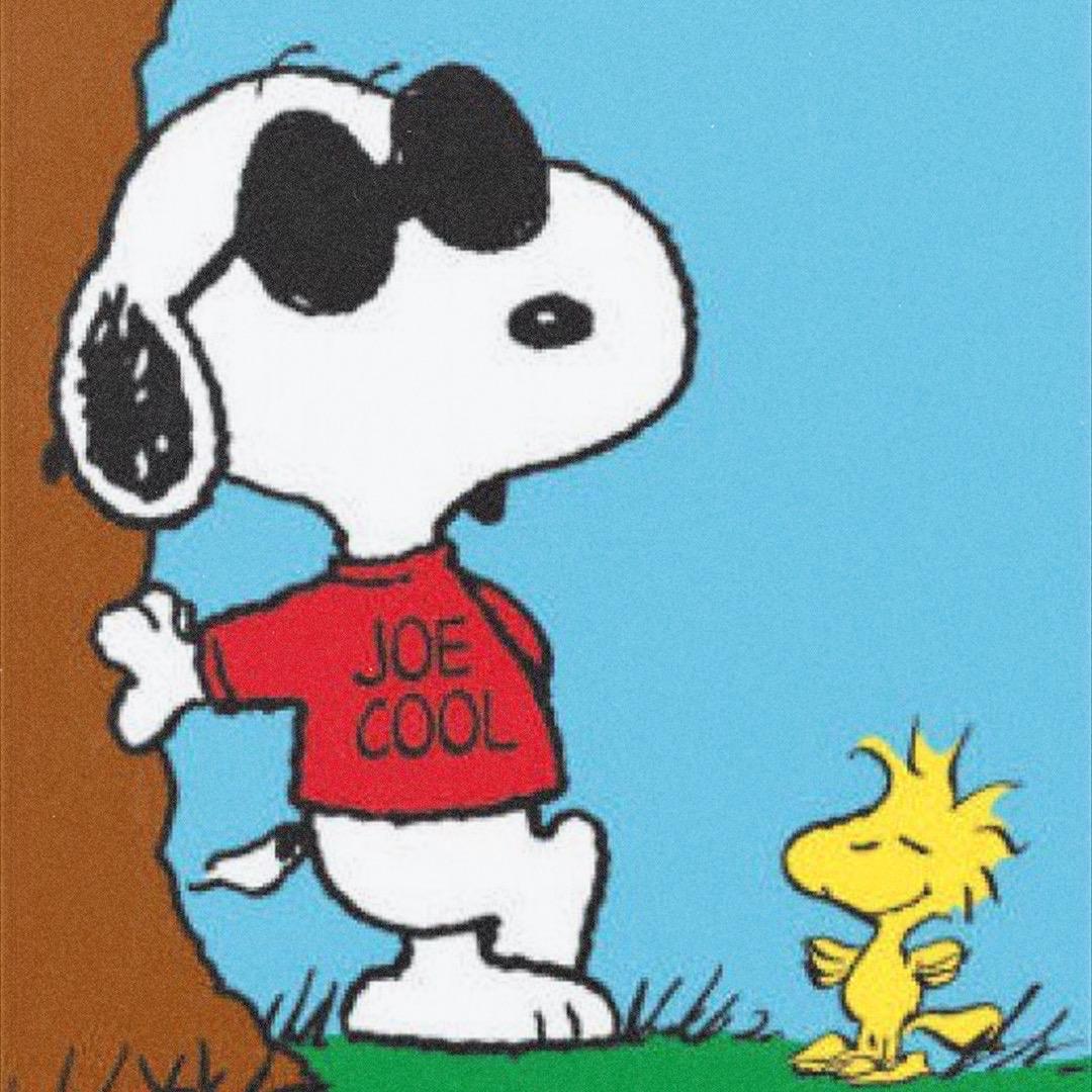 Vintage 70s Snoopy Sweatshirt, Joe Cool Pullover, Peanuts