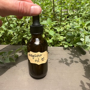 Oil of Oregano - Homegrown