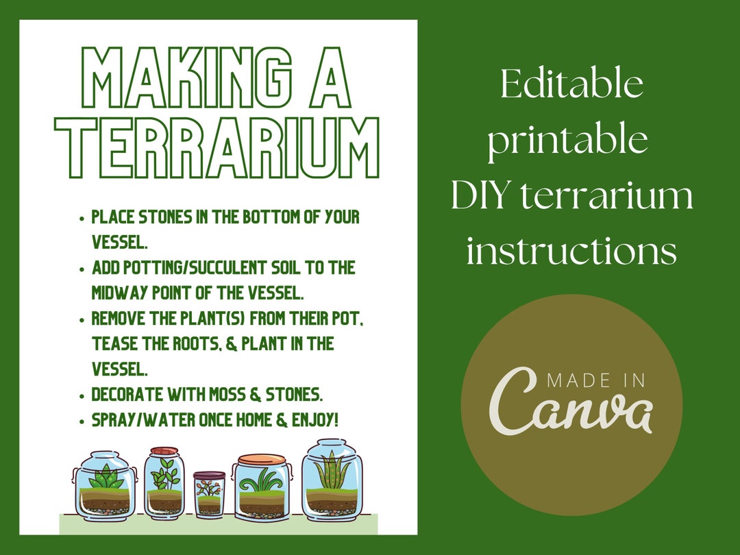 DIY Terrarium Instructions - Etsy