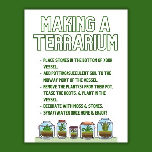 DIY Terrarium Instructions - Etsy