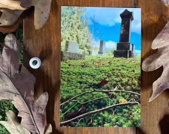 May include: A framed photograph of a cemetery with a tall, dark gray headstone in the center. The headstone is surrounded by other headstones and green grass. The photo is framed in a dark wood frame.