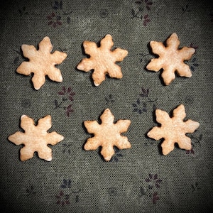 May include: Six snowflake-shaped cookies arranged on a dark green fabric with a floral pattern. The cookies are light brown with a slightly textured surface, suggesting a baked good. The image has a warm, inviting tone.