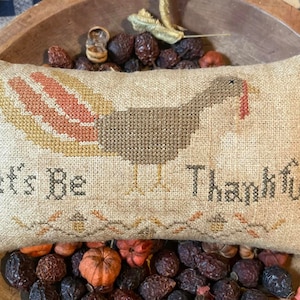 May include: A beige pillow with a brown and orange embroidered turkey and the text "Let's Be Thankful".