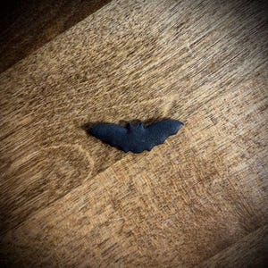 May include: A small, black bat-shaped object rests on a wooden surface. The bat has outstretched wings and a detailed silhouette. The wood grain is visible, with warm brown tones. The image is well-lit, highlighting the bat's shape.