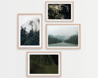 Moody Forest Prints | Set of 4 Prints, Forest Landscape, Misty Mountain Art Prints, Gallery Wall Prints, Green Aesthetic, Rustic Cabin Decor