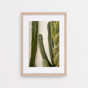 May include: A framed print featuring a close-up of several green cactus plants against a white background. The cacti have a vertical, columnar shape with visible spines and a textured surface. The frame is a light wood color.