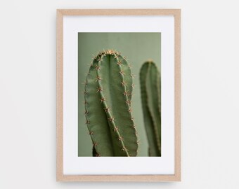 Desert Cactus Art Print, Boho Art, Southwestern Decor, Cactus Photography, Desert Wall Decor (Digital Download) - Prickle My Fancy