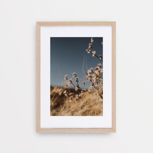 Desert Dreams | Boho Wall Art, Moody Desert Wall Art, Native Plant Life, Painted Hills Oregon, Southwestern Wall Decor, Desert Plants