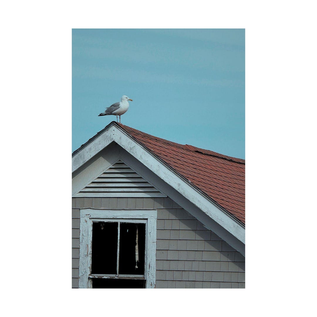 Coastal Seagull Wall Art Print, Nautical Home Decor, Beach House Poster ...