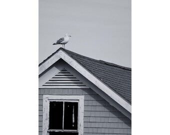 Black and White Seagull Coastal Poster, Beach House Decor, Seagull Art, Home Wall Art, Minimalist Prints, Nautical Gift Ideas