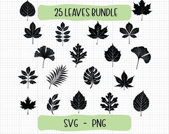 Paquete SVG de hojas, paquete SVG de hojas, SVG de plantas, archivos de corte SVG para Cricut, clipart de hojas, png de hojas, SVG de hojas tropicales, SVG de monstera, palma