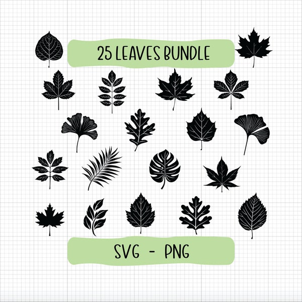 Leaf SVG bundle, leaves svg bundle, plant svg, svg cut files for Cricut, leaves clipart, leaves png, tropical leaves svg, monstera svg, palm