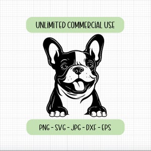 Französische Bulldogge SVG, französische Bulldogge PNG, süße französische Bulldogge Schnittdateien, spähende französische Bulldogge, Frenchie svg, Cricut Cut Files, Hundegesicht svg