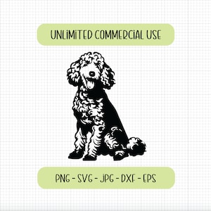 Poodle SVG, Poodle PNG, full body poodle digital download clip art for Cricut, cutting machines, cute poodle, poodle mama, poodle shirt