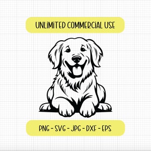 Golden Retriever SVG, Golden Retriever PNG, download digitale, Cricut Cut Files, bundle svg, decalcomania in vinile, Golden che sbircia, Golden puppy svg