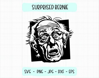 Funny Bernie Sanders SVG! Bernie Sanders png, Bernie Sanders meme, feel the bern, inauguration svg, Bernie cut file, digital download vector