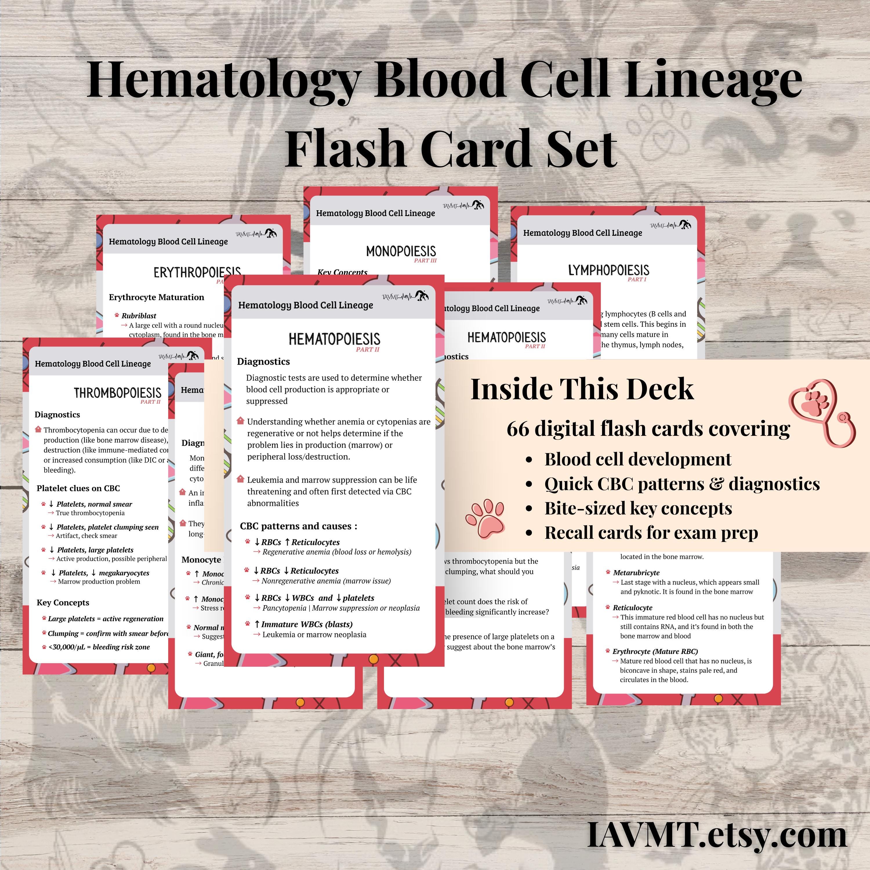 Med Math Flash Cards Hematology Flashcards for VTNE Study | 66 Digital Blood Cell Lineage ...