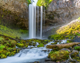 May include: A cascading waterfall flows over a moss-covered cliff face. The water is white and the rocks are gray and green. The waterfall is surrounded by lush greenery.