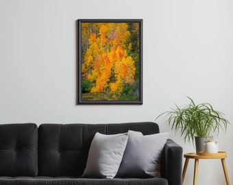 Fire-  Colorado Photography, Fine Art, Aspen trees, Changing seasons, Autumn, Colorful Print, Vertical