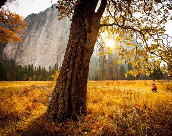 Luz de otoño en Yosemite. Impresión digital de bellas artes.