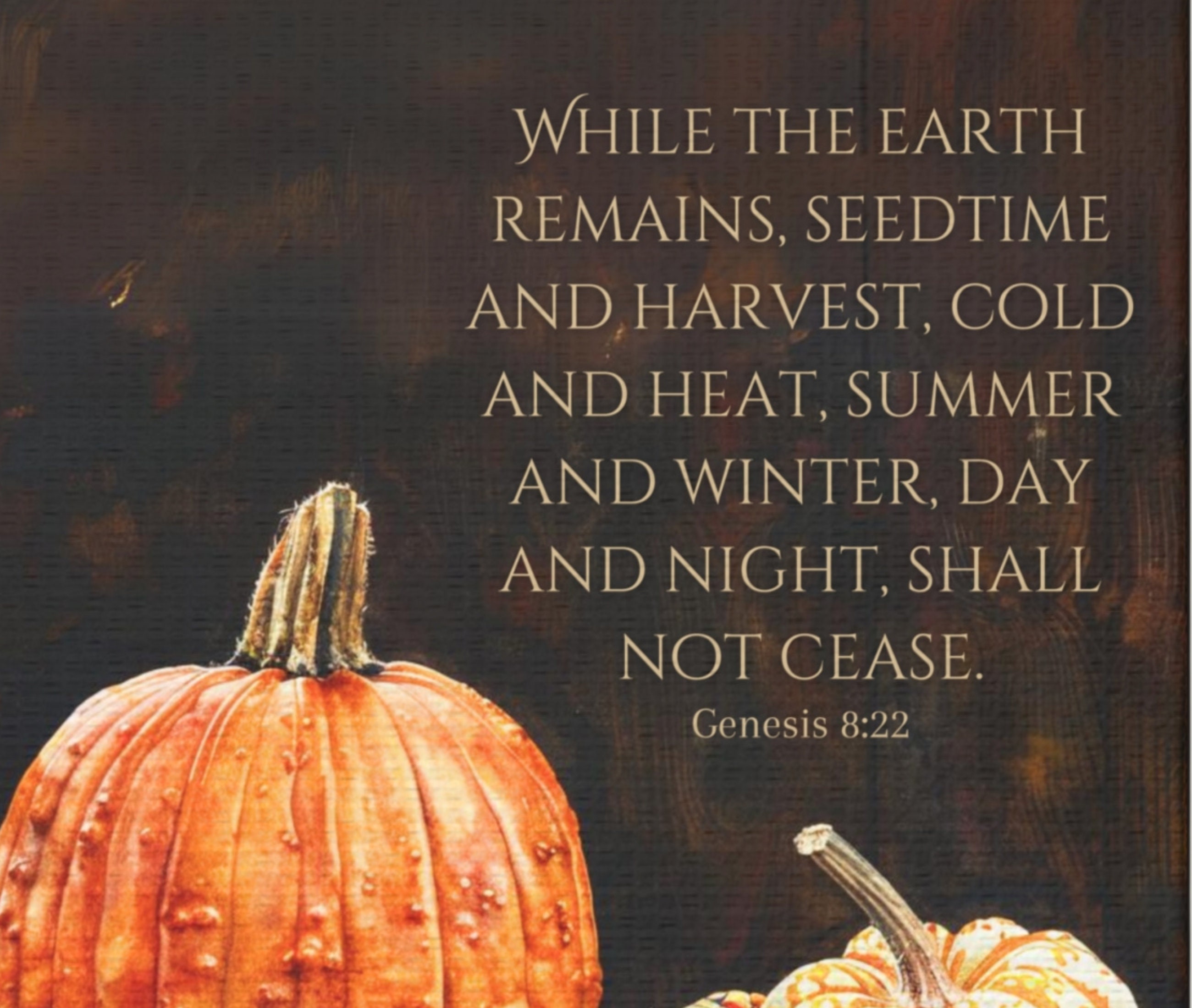 Pumpkin & Corn Canvas Print – Farmhouse Fall Scripture Wall Art - Etsy