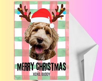 PRINTED WITH ENVELOPES! Christmas Cards 2023, Happy Holidays, Joyful, Dog, Family, Merry Christmas, Happy New Year