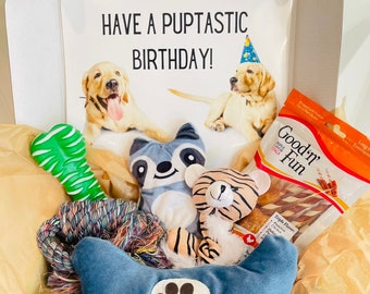 Dog Birthday Gift Box/ Dog Toys /Cute Dog Gift/ Birthday Gift for Dogs/ Dog Lover/ Chew Toys for Dogs/ Toys for Pups/ Puppy Toys/ Dog Plushy