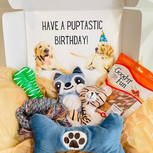 Dog Birthday Gift Box/ Dog Toys /Cute Dog Gift/ Birthday Gift for Dogs/ Dog Lover/ Chew Toys for Dogs/ Toys for Pups/ Puppy Toys/ Dog Plushy