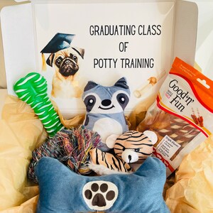 Dog Gift Box/ Dog Toys /Cute Dog Gift/ Dog Box/ Birthday Gift for Dogs/ Dog Lover/ Funny Dog Gifts/ Toys for Pups/ Puppy Toys/ Dog Plushy
