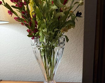 Large Shannon Crystal Floral Vase 14"