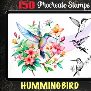 150 Hummingbird Procreate Stamps| Kolibri Bird Brush Set| Digital Download