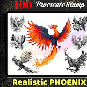 100 Realistic Phoenix Procreate stamps, Phoenix Bird Stamp for procreate, Big Bird Brush set, instant download