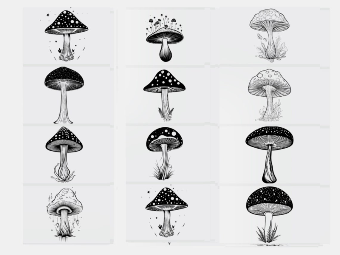 100 Mushroom Procreate Stamps, Mushroom Brushes for Procreate ...