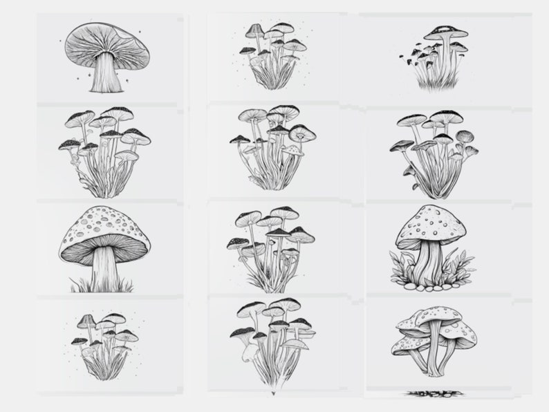 100 Mushroom Procreate Stamps, Mushroom Brushes for Procreate ...