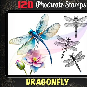 May include: A digital illustration of a dragonfly with blue, green, and white wings. The dragonfly is perched on a pink flower with green leaves. The image is surrounded by a white background and the text "DRAGONFLY" is displayed at the bottom of the image.