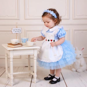 ONEderland Birthday Outfit, Alice In ONEderland Dress, Alice Costume, OnEderland Outfit, Alice In Onederland Smash Cake Outfit 1st Birthday