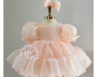 Blush Pink Birthday Toddler Dress, Flower Girl Dress, Puffy Sleeve, Organza Prom Gown, Special Occasion Baby Dress, Smash Cake Photoshoot