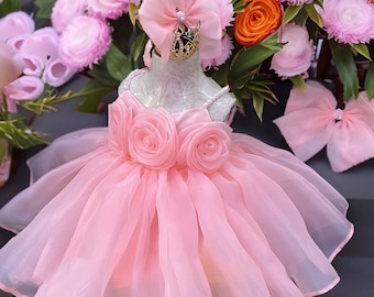 Vestido para niña para ocasiones especiales, vestido para el primer cumpleaños, vestido de fiesta para niña, vestido para el primer cumpleaños, vestido de cumpleaños para niña, vestido ruborizado