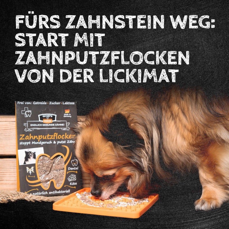 QCHEFS Zahnputzflocken Hund Bild 5