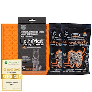 LickiDental Bundle Buddy XL Hund
