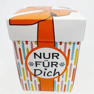 Birthday box dog