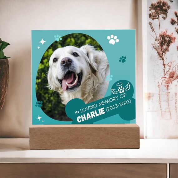 Targa in metallo con scritta in lingua inglese Caution Dog Can't Hold It's Licker Animal Lovers, stile vintage, retrò, per casa, bar, cucina, fattoria, decorazione per la casa, regali, 20 x 30
