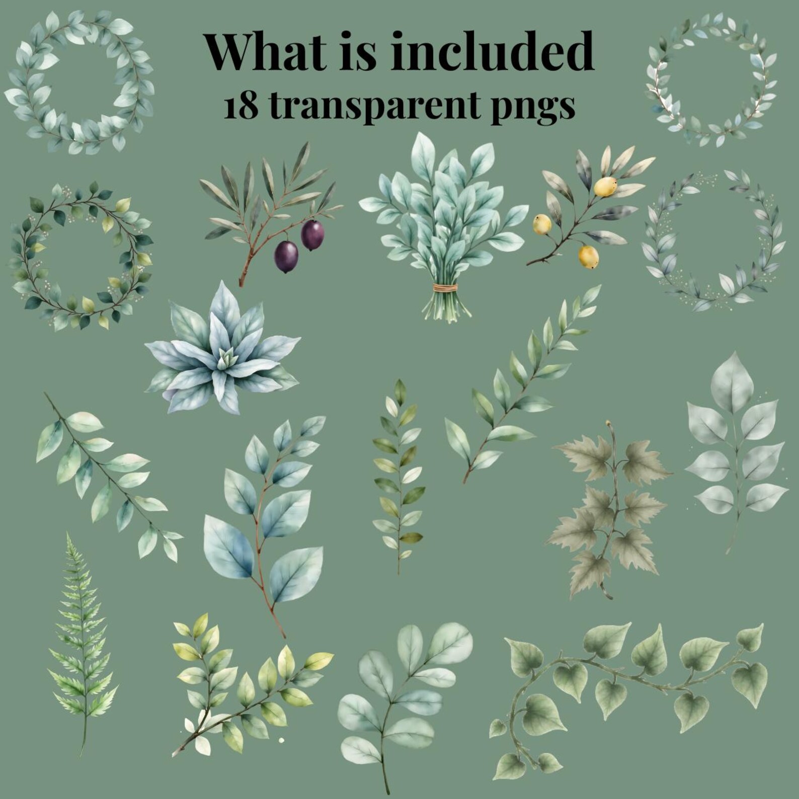 Eucalyptus Greenery Clipart Set | 18 PNG Files | Watercolor Greenery ...