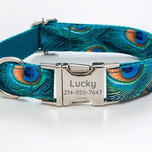 Può includere: Un collare per cani blu turchese con un motivo a piume di pavone e una fibbia argentata. La fibbia è incisa con il nome "Lucky" e il numero di telefono "214-555-7647".