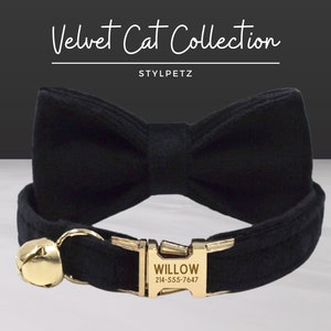 Może przedstawiać: Czarny aksamitny kołnierz dla kota z złotą muszką i złotym dzwonkiem. Kołnierz ma złotą klamrę z wygrawerowanym tekstem "WILLOW 214-555-7647".