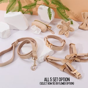 Op de afbeelding: Een set van vijf beige hondenaccessoires, waaronder een riem, een halsband, een harnas, een poepzakhouder en een keuze uit een bloem of een strik. De set is op een wit oppervlak met een lichtbruine achtergrond gelegd.  ALL 5 SET OPTION (SELECT BOW TIE OR FLOWER OPTION)