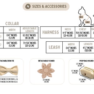 Ensemble ou collier de chat de luxe personnalisé en velours gravé avec laisse, noeud. Boucle de sécurité en métal gravée gratuite Collier cadeau personnalisé pour chat et chaton image 7