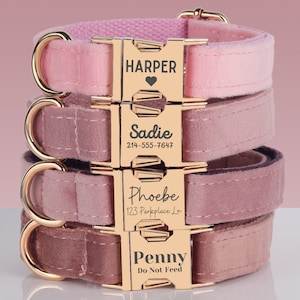 May include: Four pink velvet dog collars with gold metal buckles and personalized name tags. The collars are stacked on top of each other. The name tags read "Harper", "Sadie", "Phoebe", and "Penny".